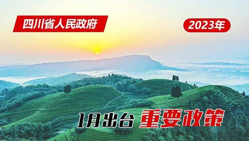 四川重庆封城了吗？2023年最新防疫政策解读