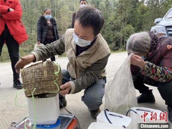 四川省疫情咨询热线全指南，24小时服务，守护您的健康