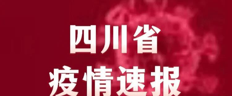 四川省疫情官网与重庆市最新消息，联防联控下的西部抗疫动态