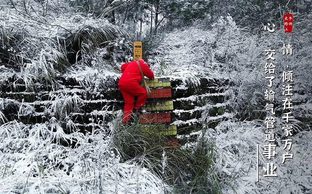 四川省疫情防控先进集体，守护生命线的无名英雄