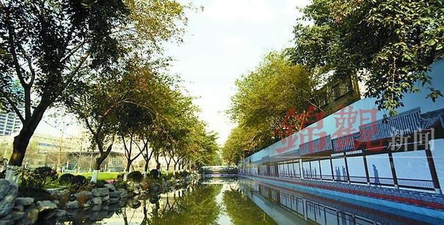四川省成都市疫情实时动态，最新数据与防控措施全面解读