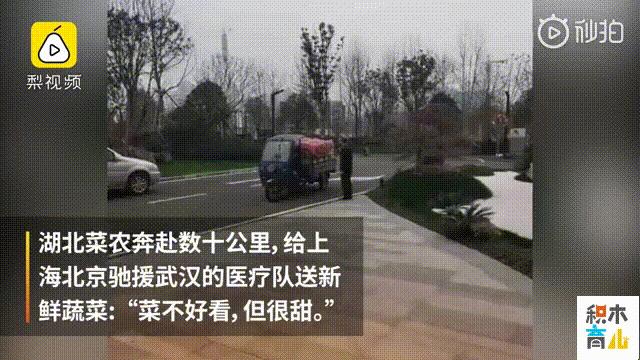 沈阳封城了吗？最新疫情动态与防控措施解析