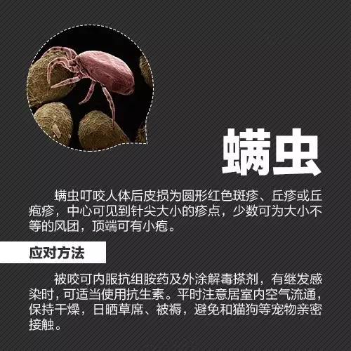 石家庄是否封城？最新政策解读与市民应对指南