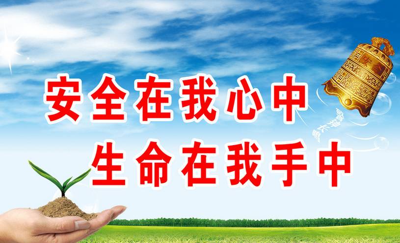 石家庄疫情事例，防控措施与社区应对的深度解析