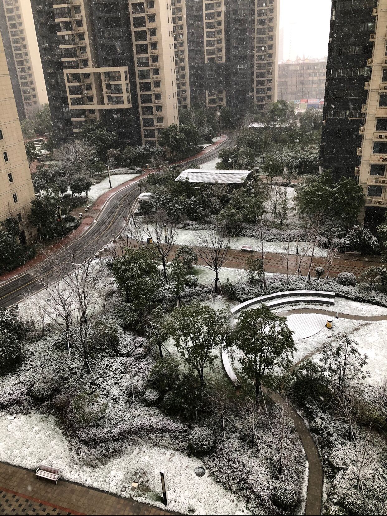 石家庄疫情解控，一座城市的复苏与希望