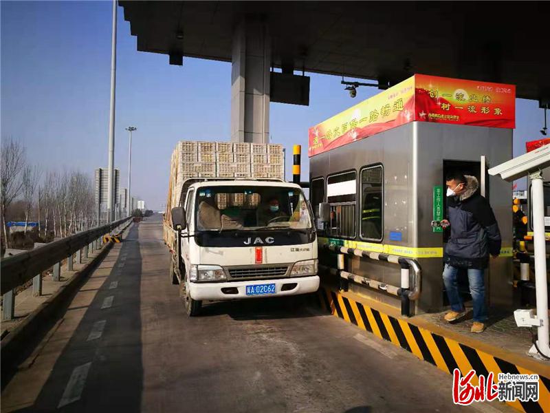 石家庄疫情处于什么时期？最新动态与防控措施全面解析