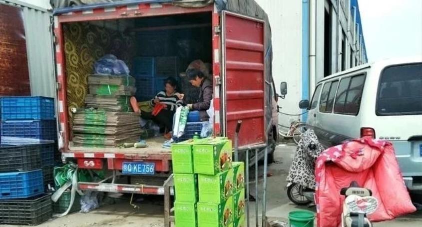 石家庄封控时间线，回顾与影响分析