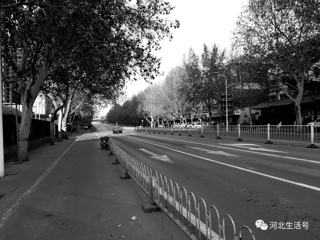 石家庄封城第一天，寂静街道下的城市脉搏
