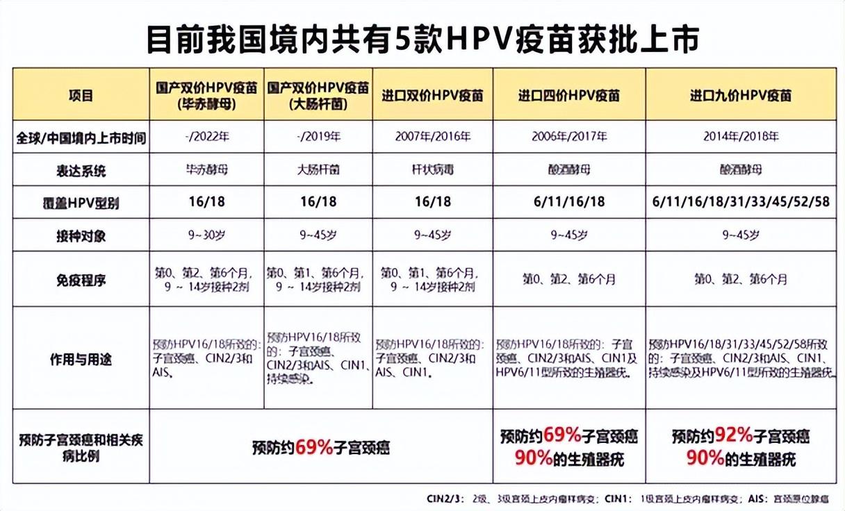 石家庄疫苗，守护健康的前沿防线与未来发展