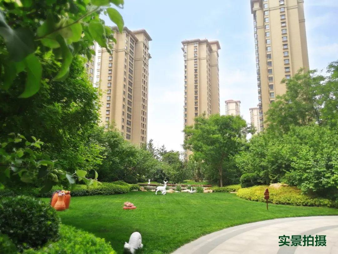 石家庄村支书硬核喊话走红，基层治理的温情与力量