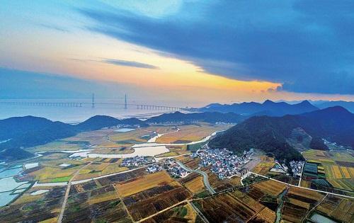 石家庄村委，乡村振兴的基层力量与创新实践