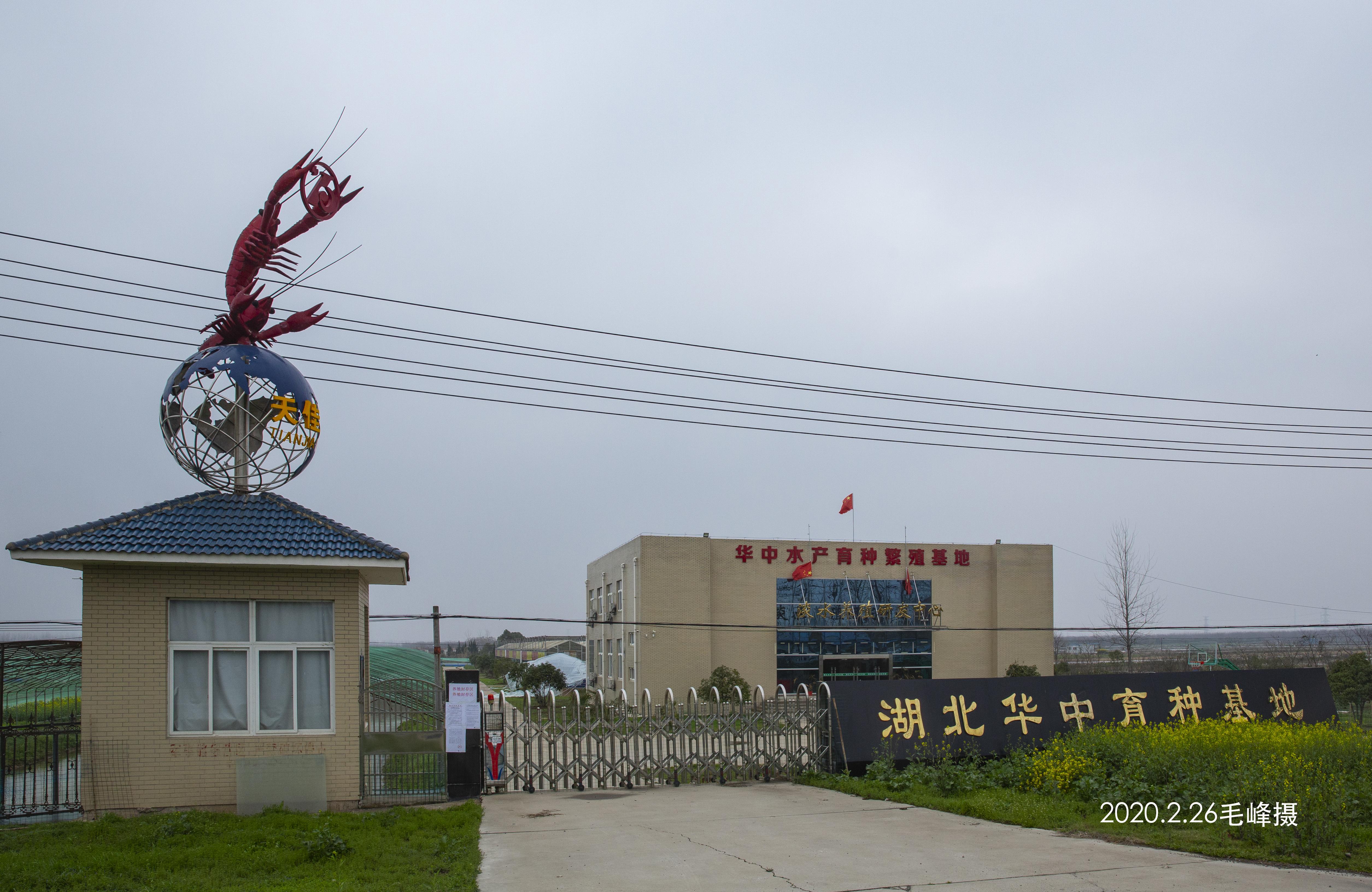 石家庄2020封城，一座城市的抗疫记忆与韧性