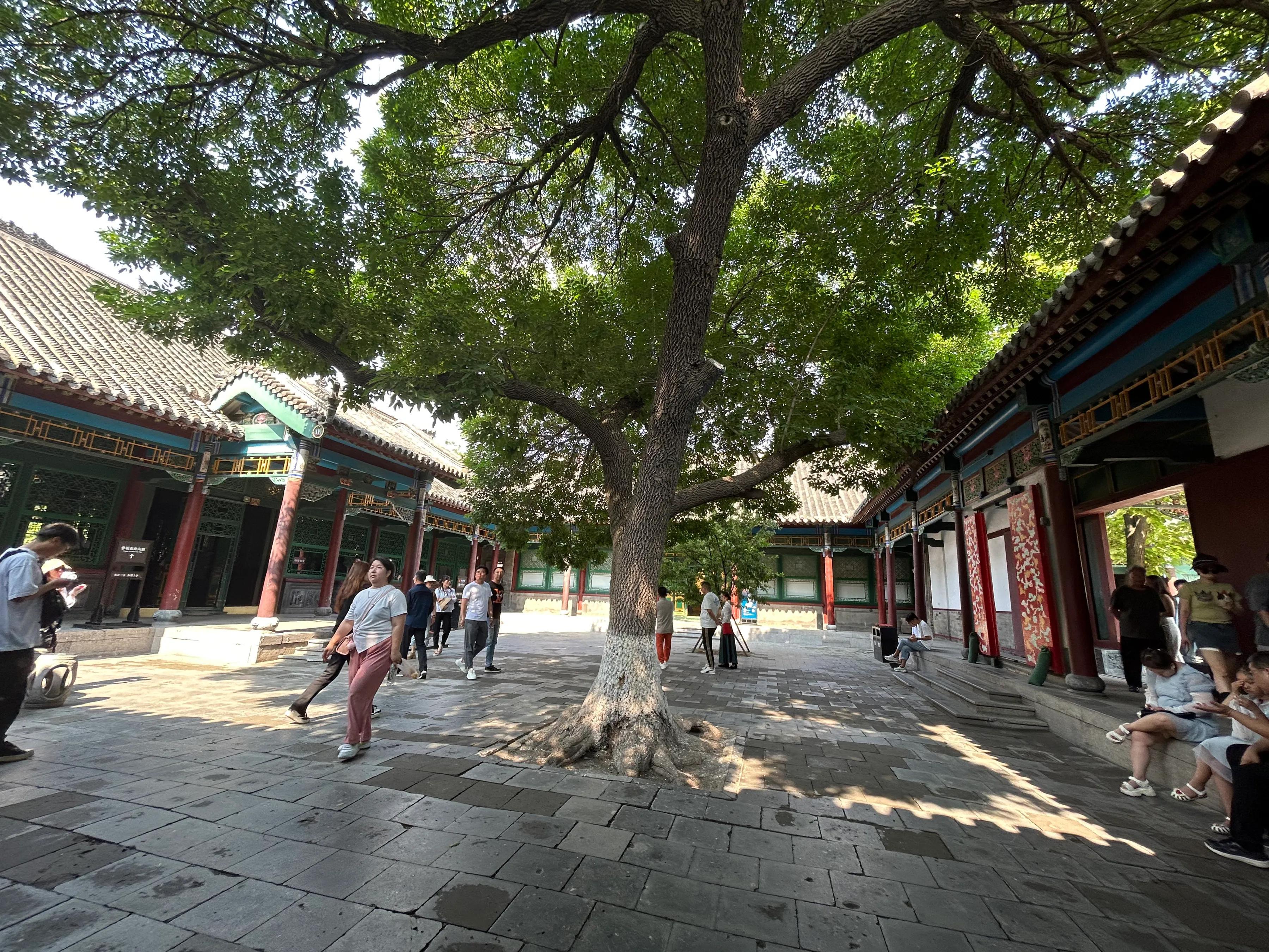 沈阳最新进展，2023年城市发展亮点与未来规划
