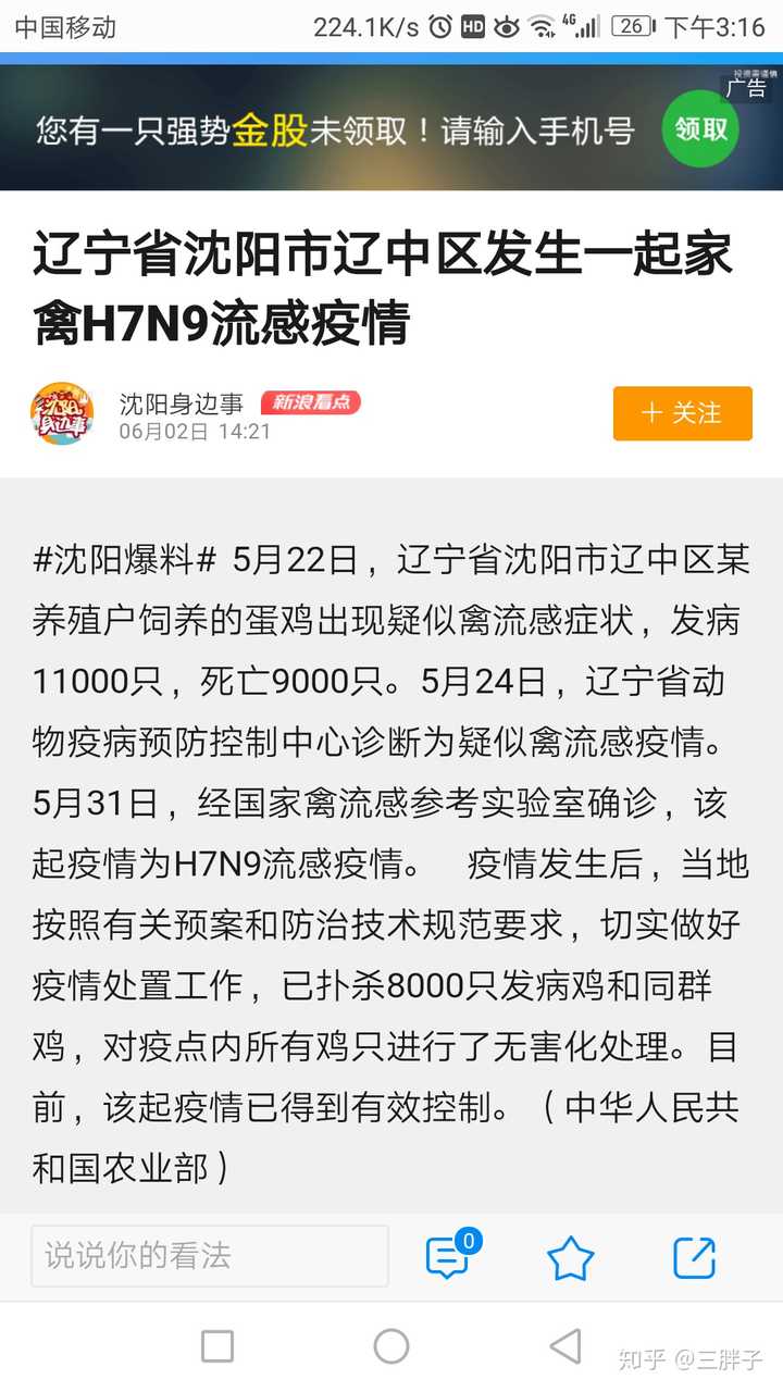 沈阳疫情最新消息，溜达鸡现象引发市民热议与防控思考