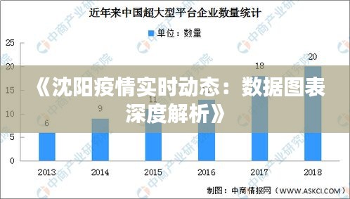 沈阳疫情总数，回顾、分析与未来防控策略