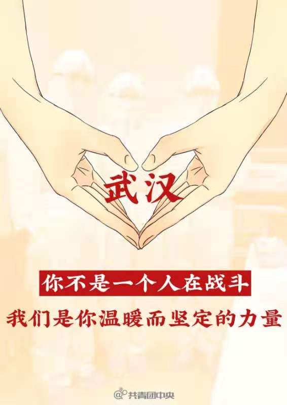 沈阳疫情最新动态，医院都停诊了吗？全面解析就医指南