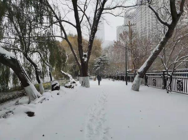 沈阳疫情封闭时间，回顾与影响分析