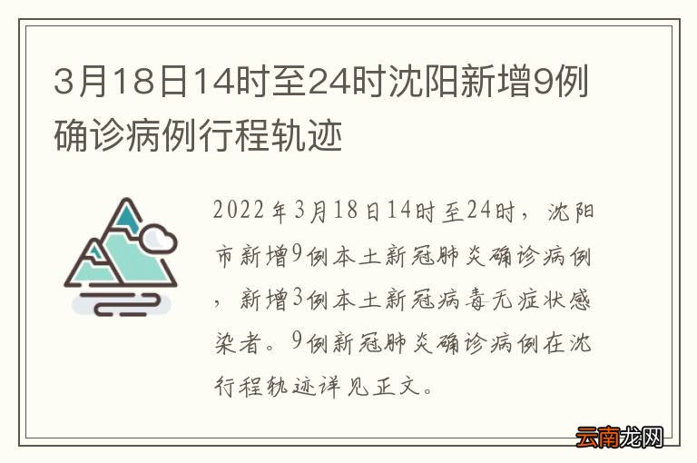 沈阳新增境外输入病例轨迹公布，详细活动路线与防控措施解析