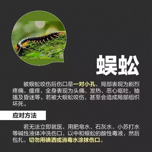 沈阳是否封城？最新政策解读与市民应对指南