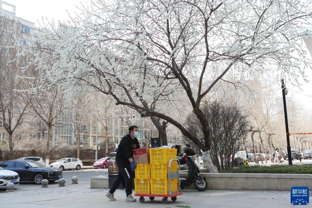 沈阳市疫情封城，城市停摆下的民生百态与抗疫韧性