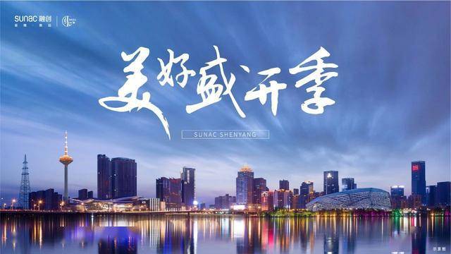 沈阳情最新情况，城市发展、文化传承与未来展望