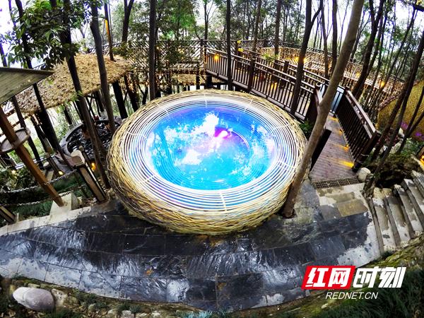 沈阳封城没？2023年最新政策与市民生活现状解析