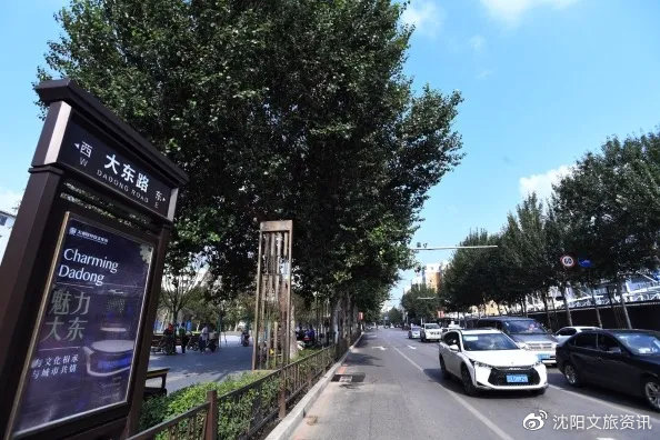 探秘沈阳大东区北顺城路，历史与现代交织的城市记忆