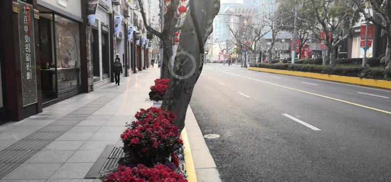 上海疫情下的济南路，一条老街的静默与坚守