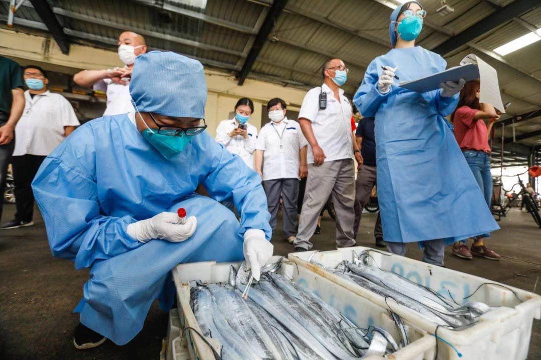 上海市最新疫情防控措施全面解析，市民必知的八大要点