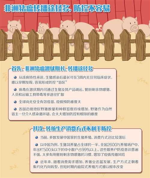 上海与台北疫情对比，防控策略、成效与未来挑战