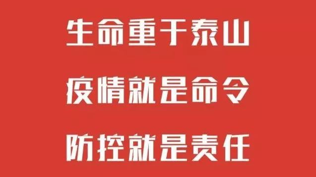 上海市24小时疫情防控咨询电话全指南，守护您的健康安全