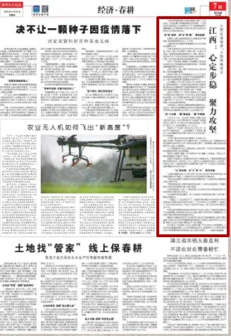 上海抗疫纪实，精准防控与全民协作的典范