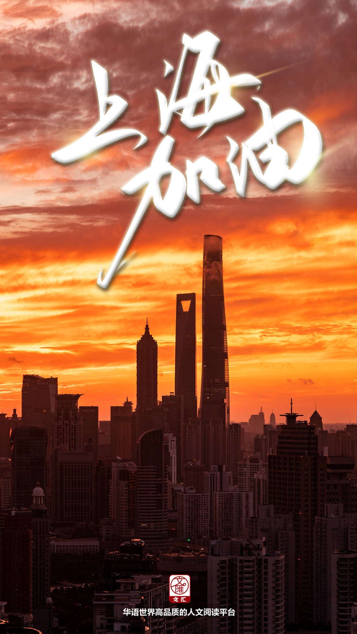 上海抗击疫情，团结与坚韧的城市精神