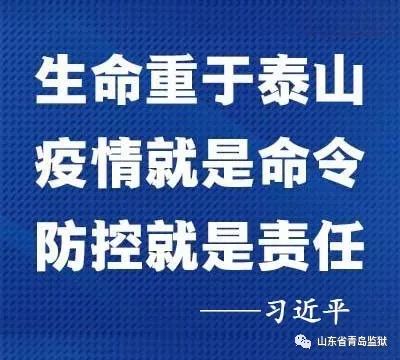 上海疫情防控指挥部，高效应对疫情挑战的坚强堡垒