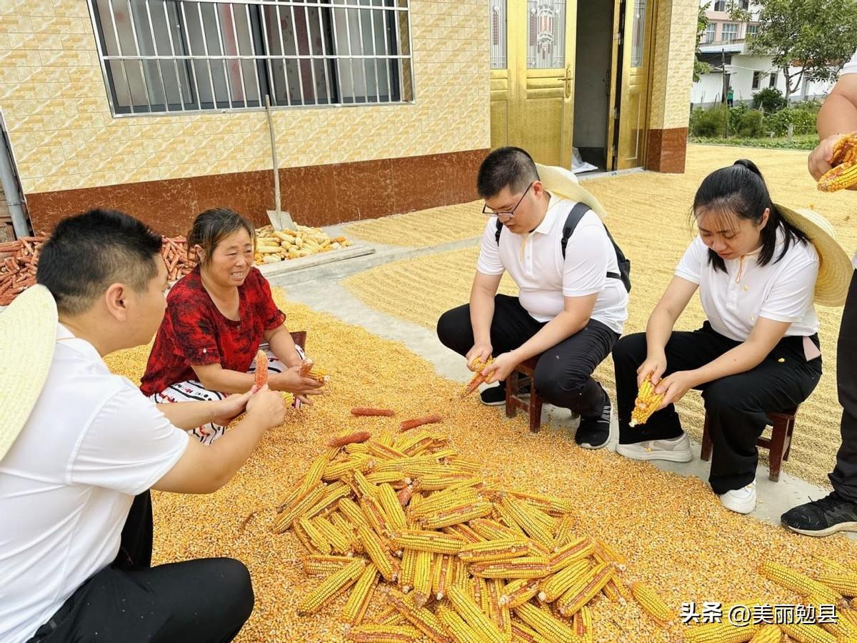 陕西省2020年财政收入分析，数据解读与经济影响
