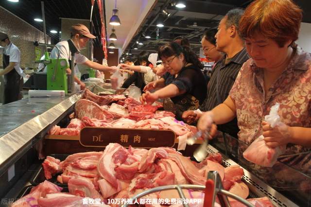 沈阳鸡架霸屏热搜榜，一座城市的烟火气与美食密码