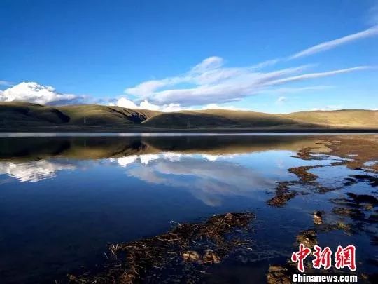 青海省最新省情，生态优先、绿色发展的高原新篇章