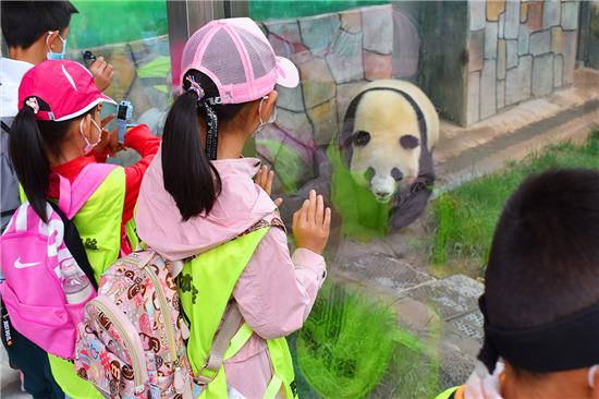 青海省疫情防控，高原屏障下的科学应对与全民共治