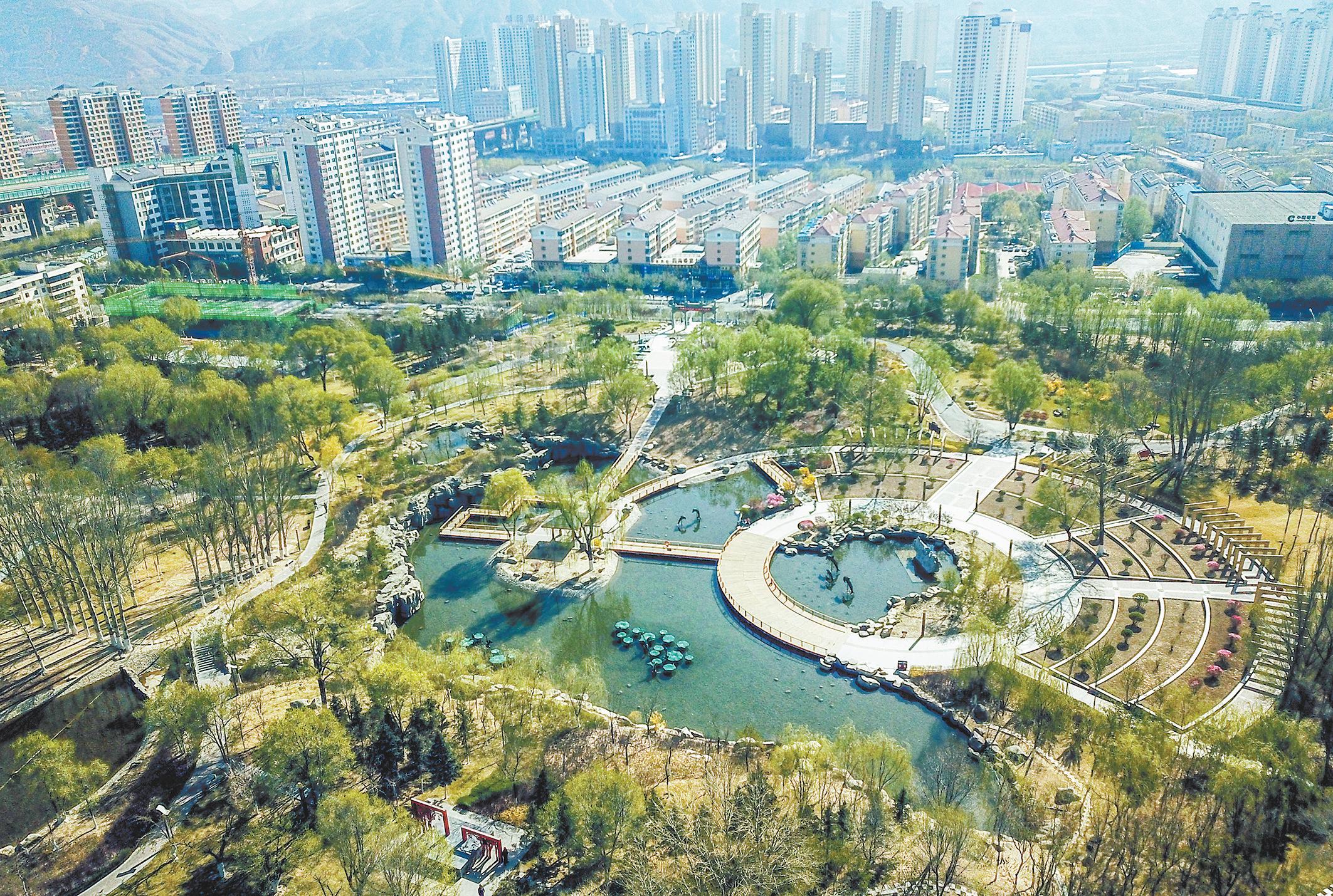 青海省疫情防控，高原屏障下的科学应对与全民共治