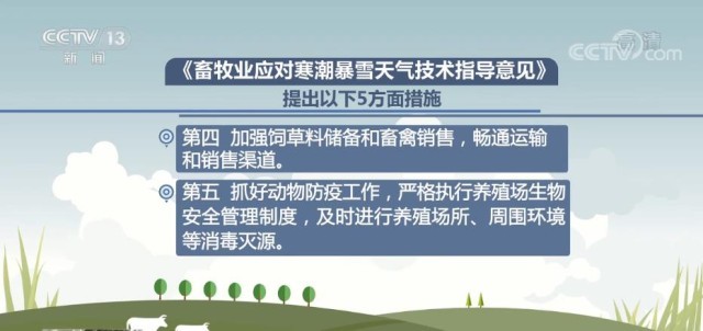 内蒙古自治区呼和浩特最新疫情，防控措施与市民应对指南