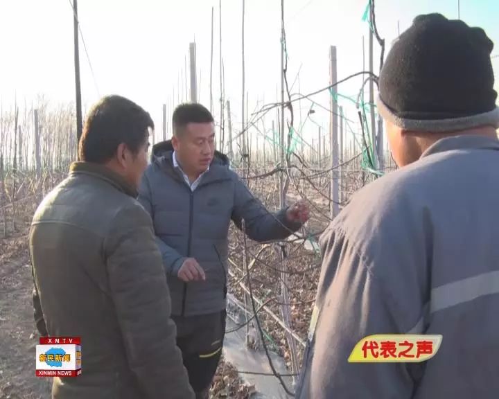 南石家庄村书记，乡村振兴路上的领路人