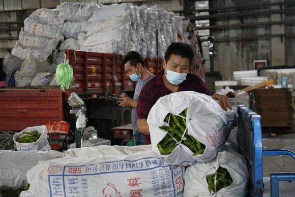 乌鲁木齐封城解除时间预测与影响因素深度分析