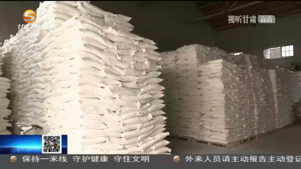 天津市疫情公告与甘肃省最新消息，防控措施与最新动态
