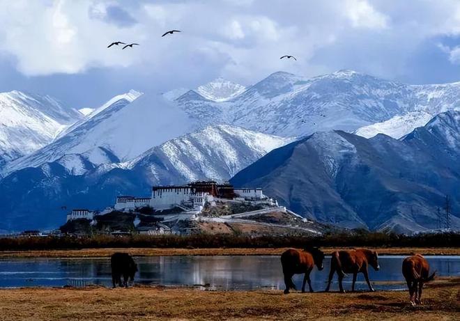 独家攻略天津到拉萨旅游，跨越东西的壮美之旅，体验高原与都市的双重魅力